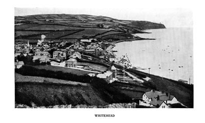 Whitehead